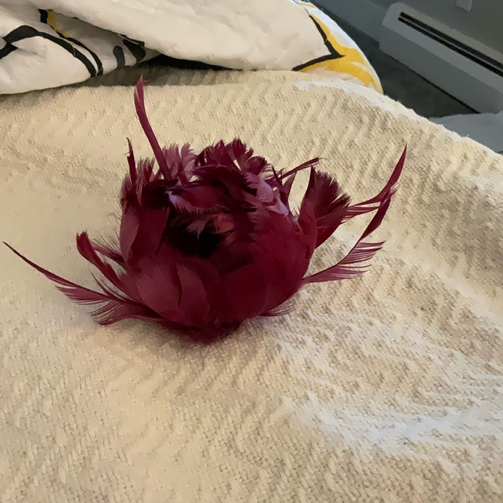 Elegant Burgundy Feather Brooch